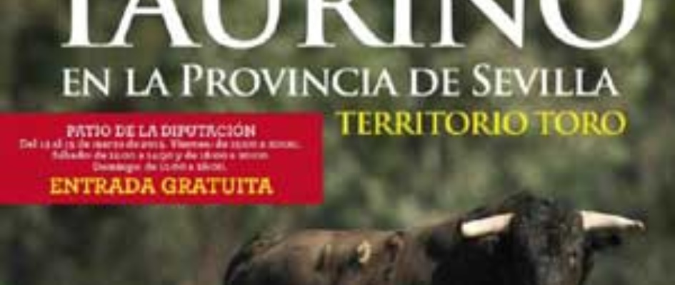 territorio-toro-cartel.jpg