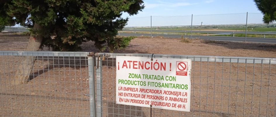 186407172_1460082254351432_3376356914015093094_n