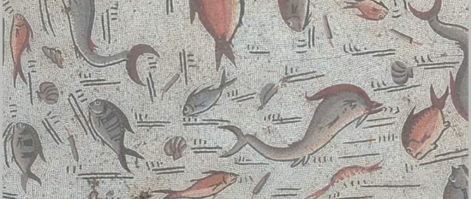 203523614_1488028678223456_2918459371989933632_n